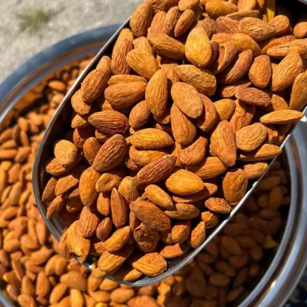 بادام